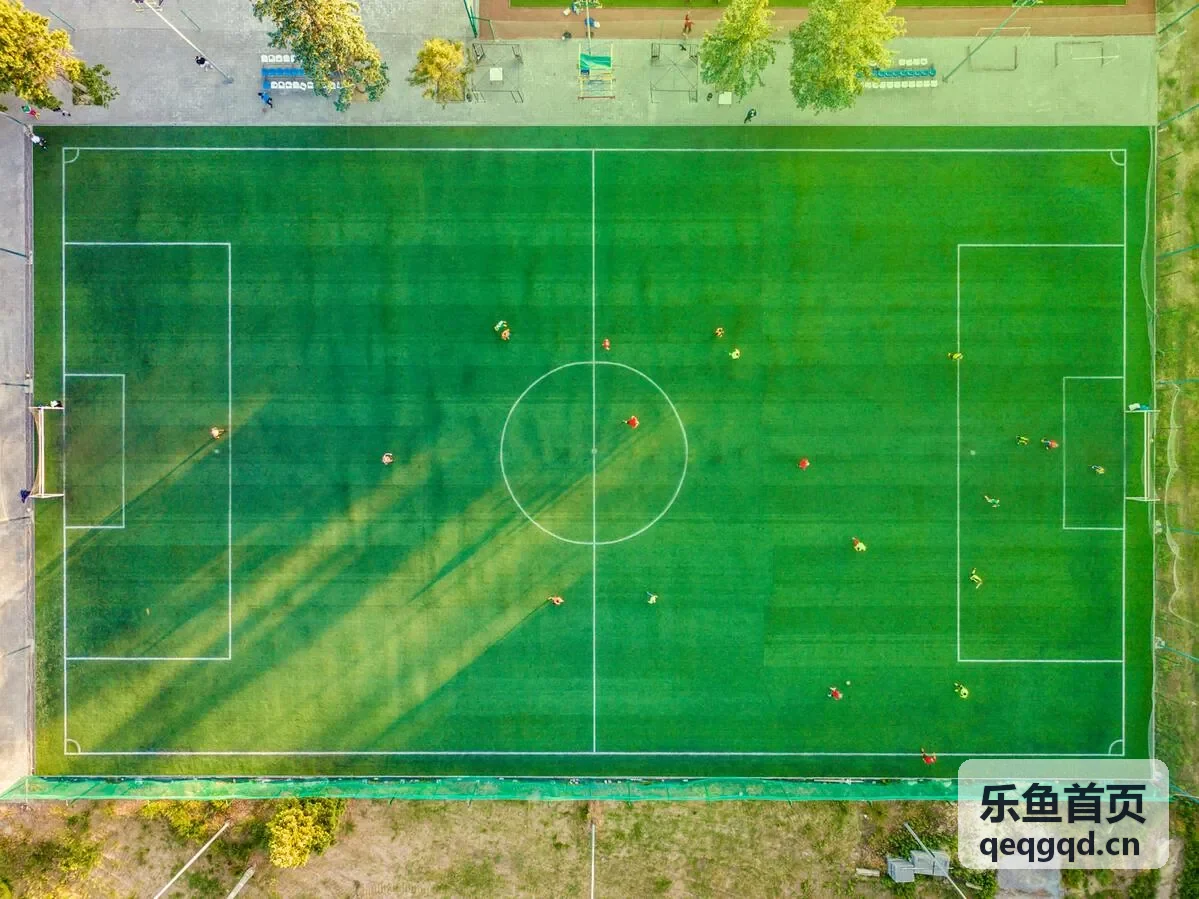 乐鱼首页动漫频道条目云上食堂封面